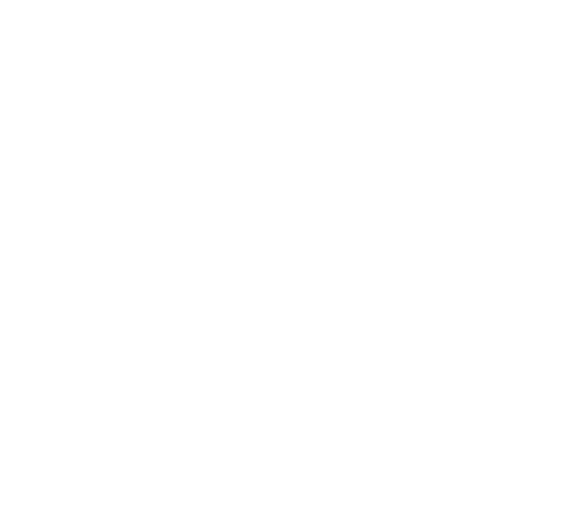 Hustler Spirit